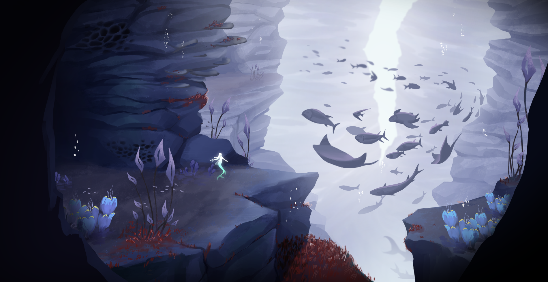 Coral reef